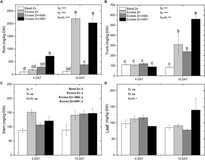 ABA Alleviates Uptake and Accumulation of Zinc in Grapevine (Vitis vinifera L.) by Inducing Expression of ZIP and Detoxification-Related Genes